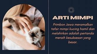 Arti Mimpi Hamil Dan Melahirkan Anak Kucing